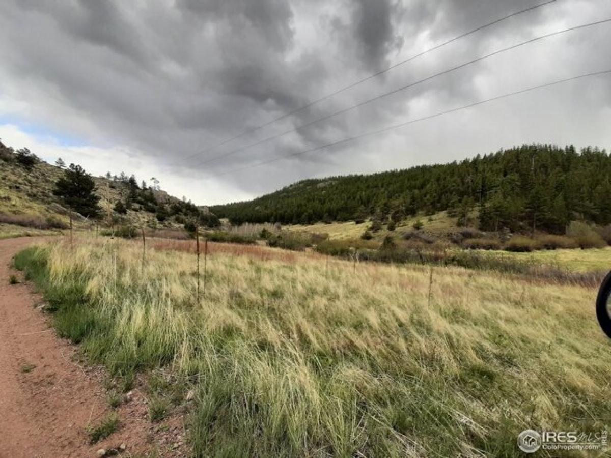 Picture of Residential Land For Sale in Livermore, Colorado, United States