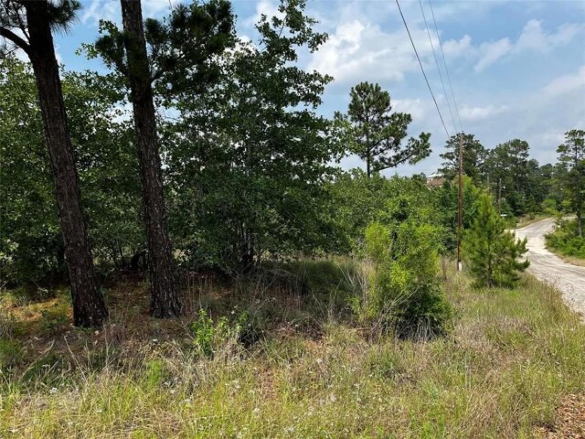 Picture of Residential Land For Sale in Bastrop, Texas, United States