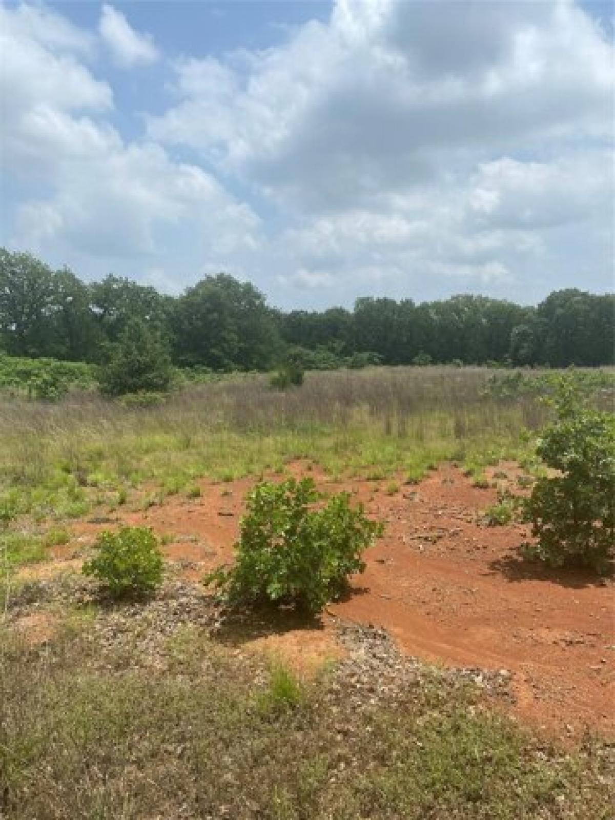 Picture of Residential Land For Sale in Burleson, Texas, United States