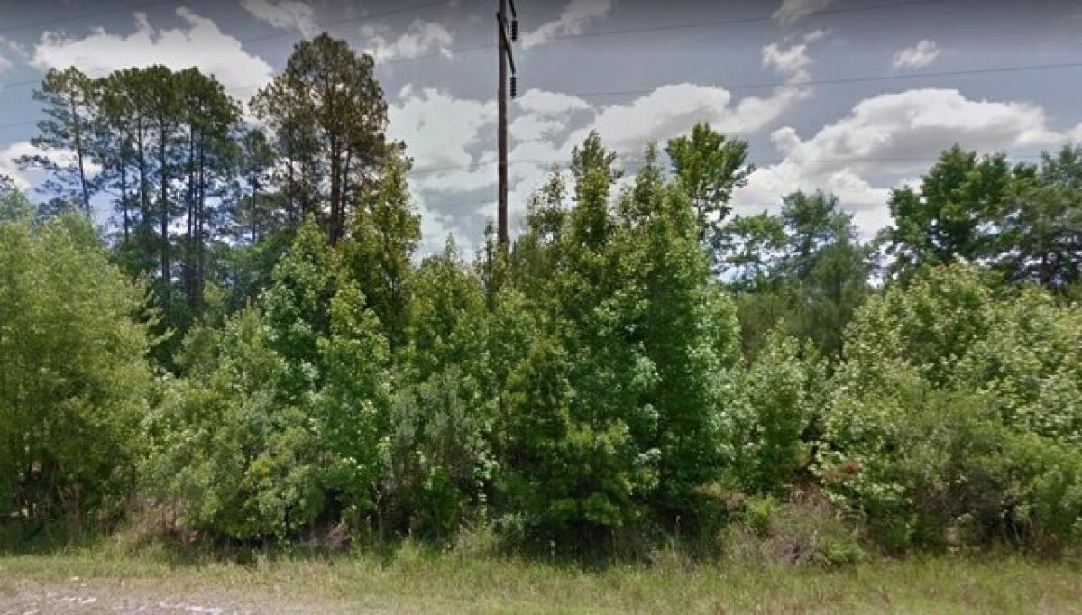 Picture of Residential Land For Sale in Sopchoppy, Florida, United States