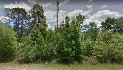 Residential Land For Sale in Sopchoppy, Florida