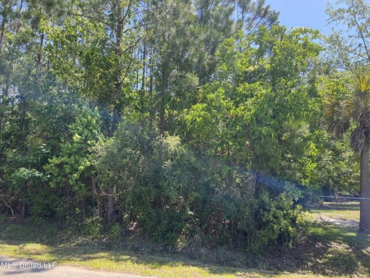 Picture of Residential Land For Sale in Pass Christian, Mississippi, United States