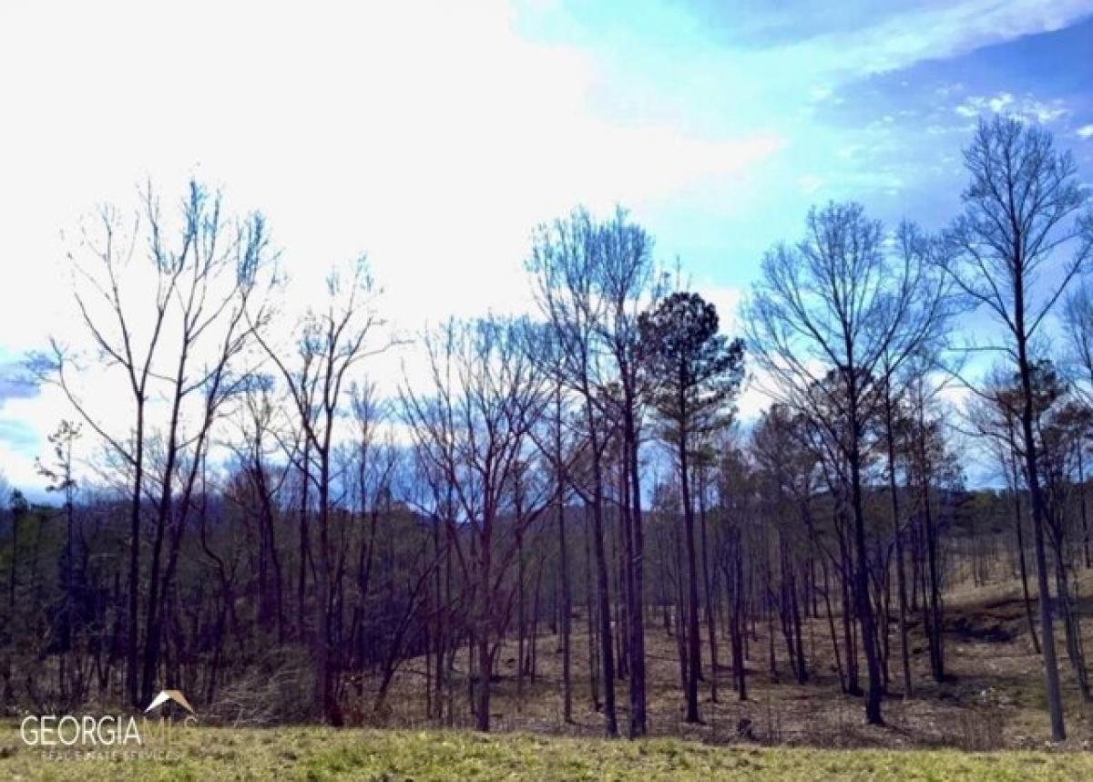 Picture of Residential Land For Sale in Talking Rock, Georgia, United States