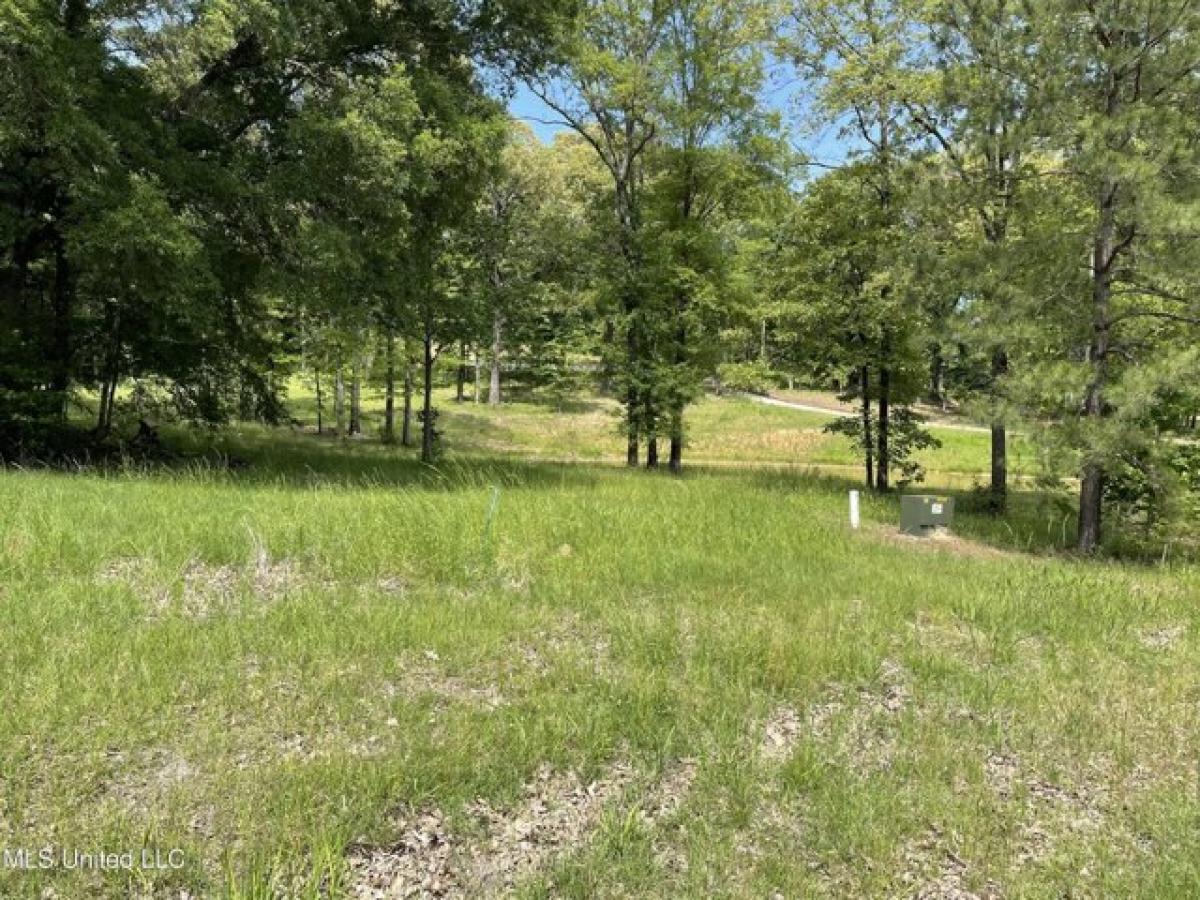 Picture of Residential Land For Sale in Madison, Mississippi, United States