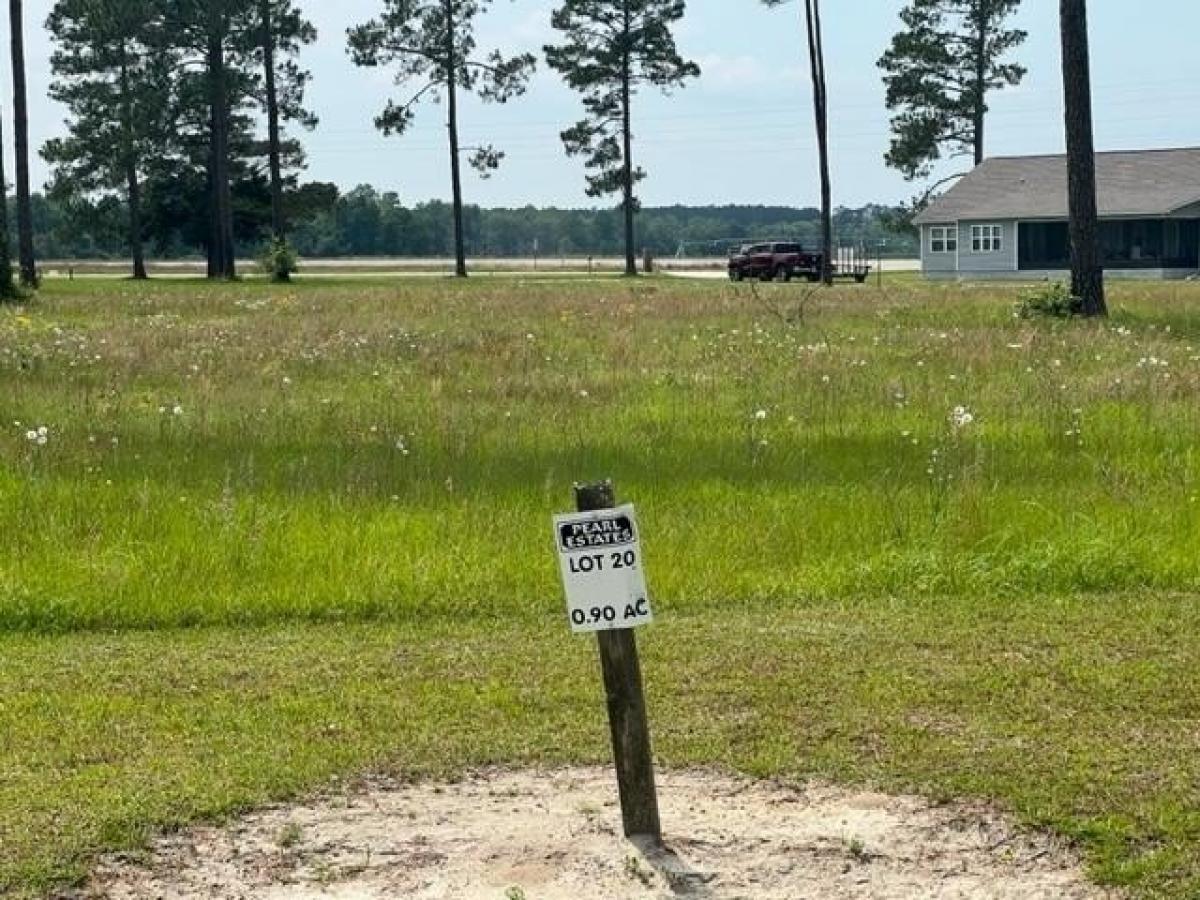 Picture of Residential Land For Sale in Willacoochee, Georgia, United States