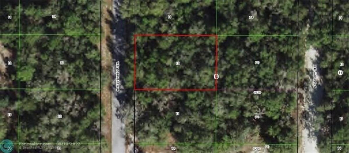 Picture of Residential Land For Sale in Hernando, Florida, United States