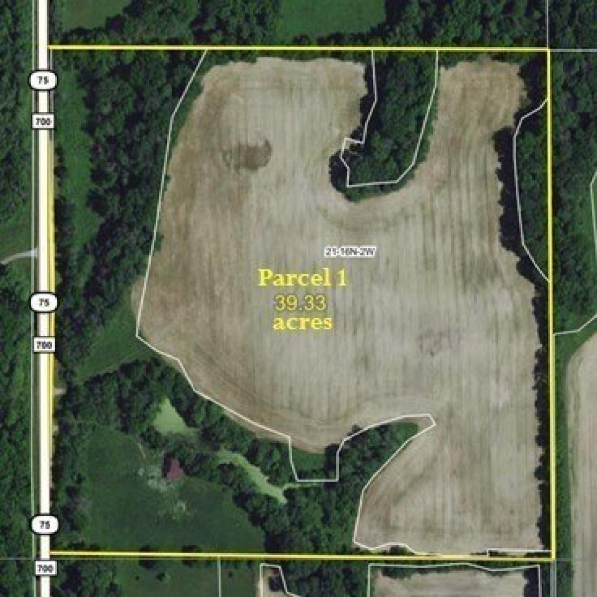 Picture of Residential Land For Sale in Danville, Indiana, United States