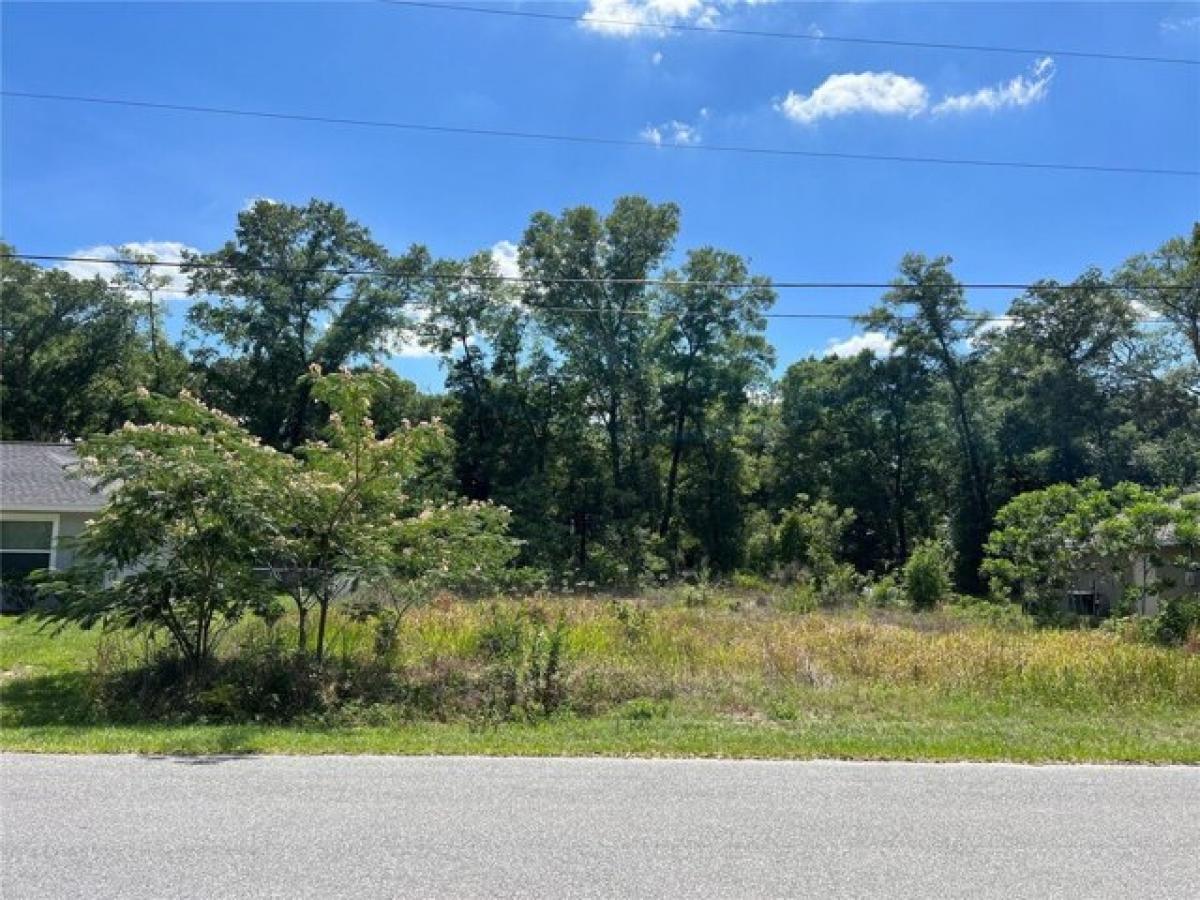 Picture of Residential Land For Sale in Belleview, Florida, United States