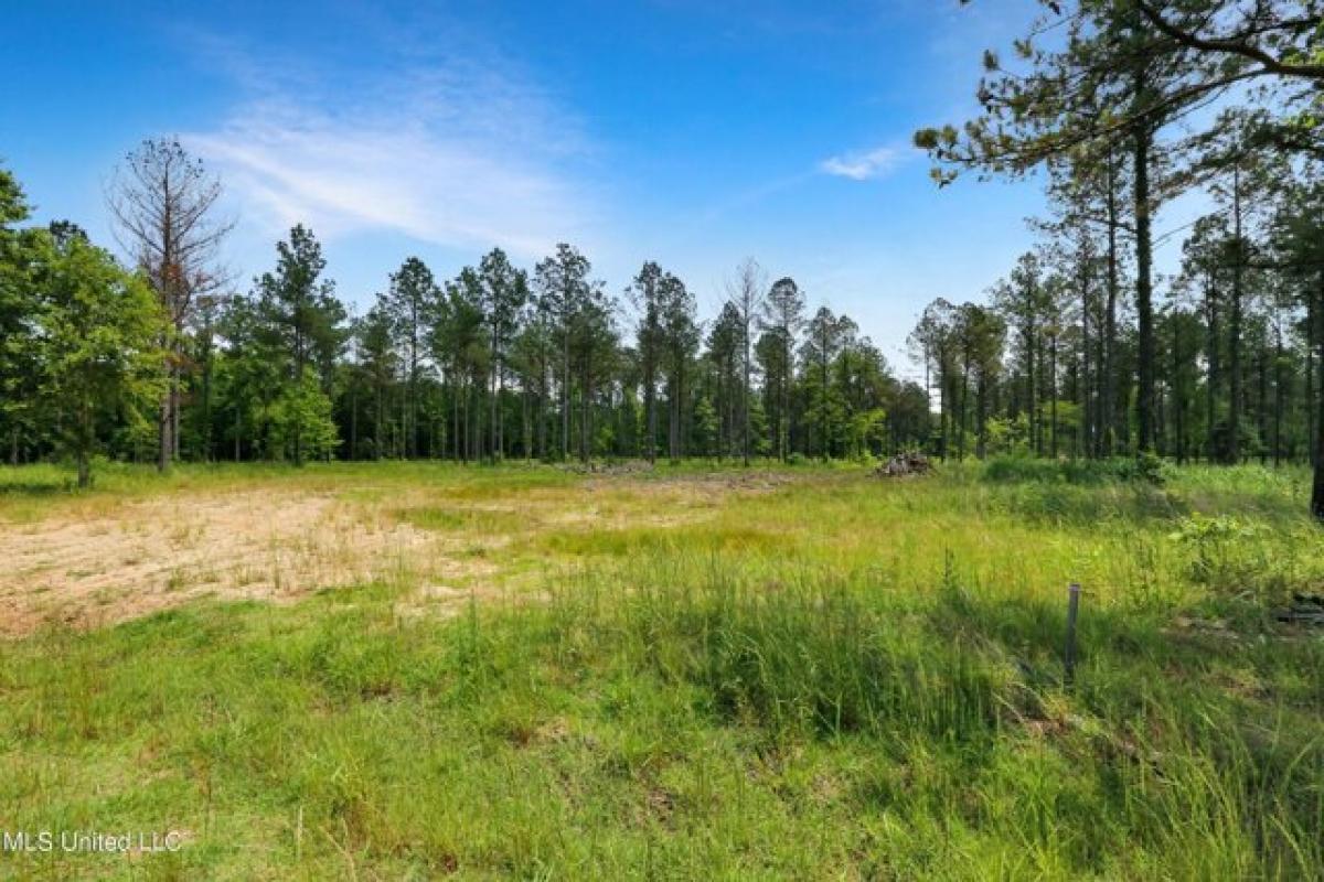 Picture of Residential Land For Sale in Flora, Mississippi, United States