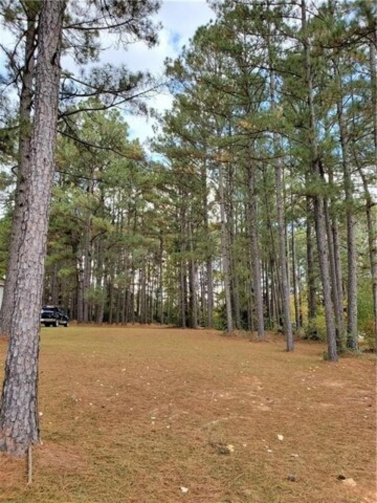 Picture of Residential Land For Sale in Pineville, Louisiana, United States