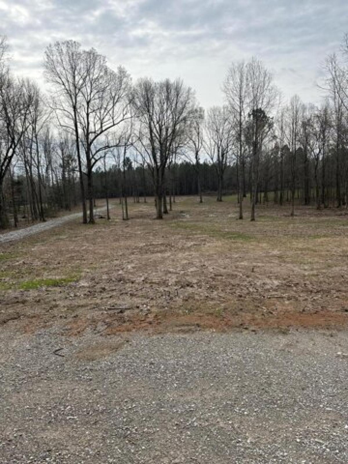 Picture of Residential Land For Sale in Myrtle, Mississippi, United States