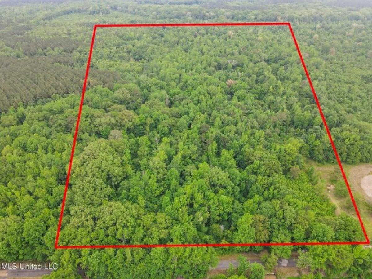 Picture of Residential Land For Sale in Pelahatchie, Mississippi, United States