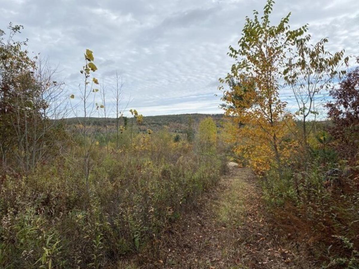 Picture of Residential Land For Sale in Brimfield, Massachusetts, United States