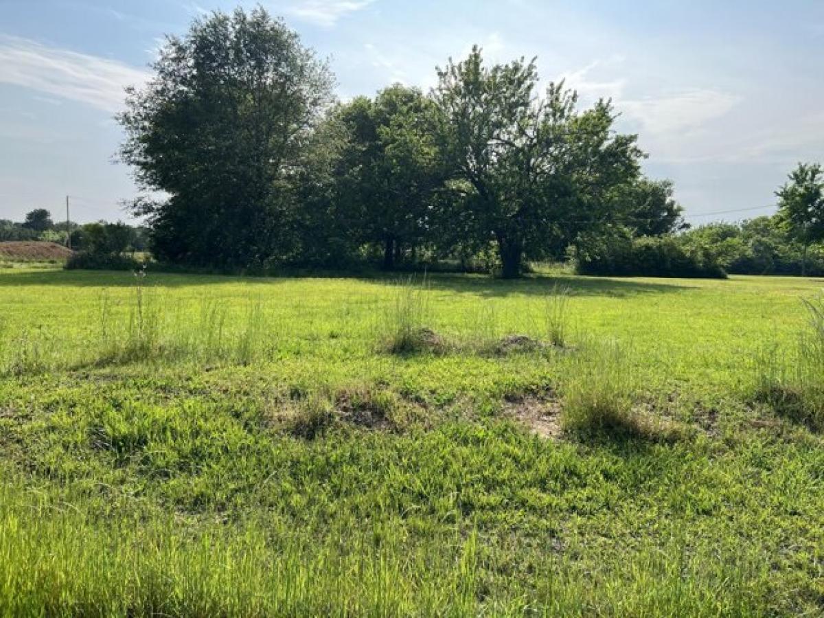 Picture of Residential Land For Sale in Starkville, Mississippi, United States