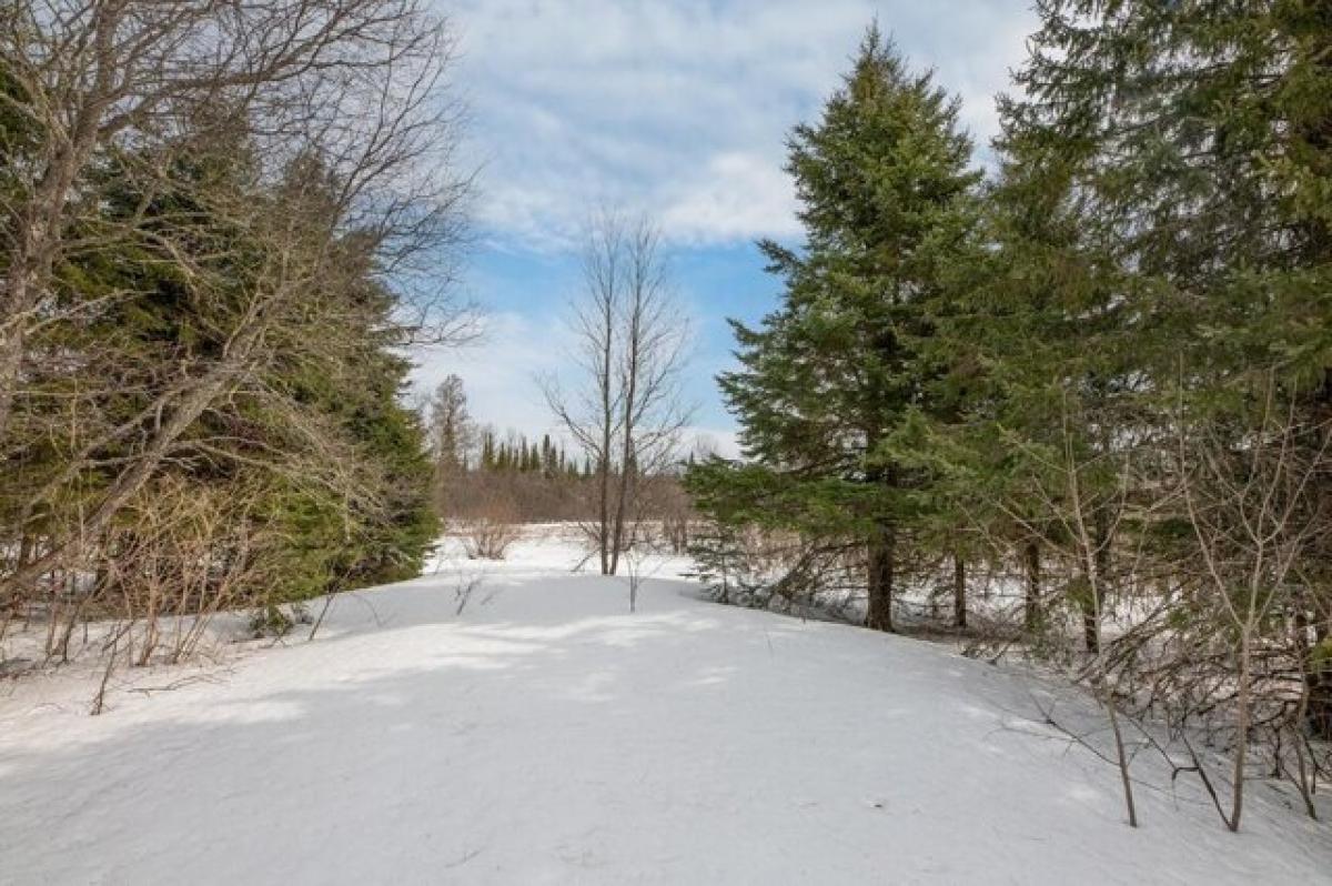 Picture of Residential Land For Sale in Marenisco, Michigan, United States