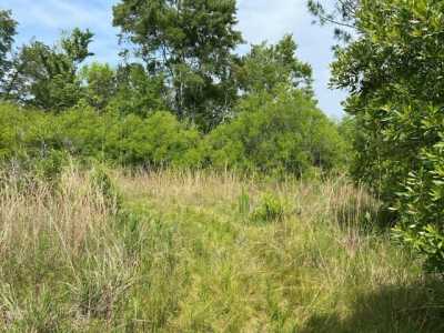 Residential Land For Sale in Steinhatchee, Florida