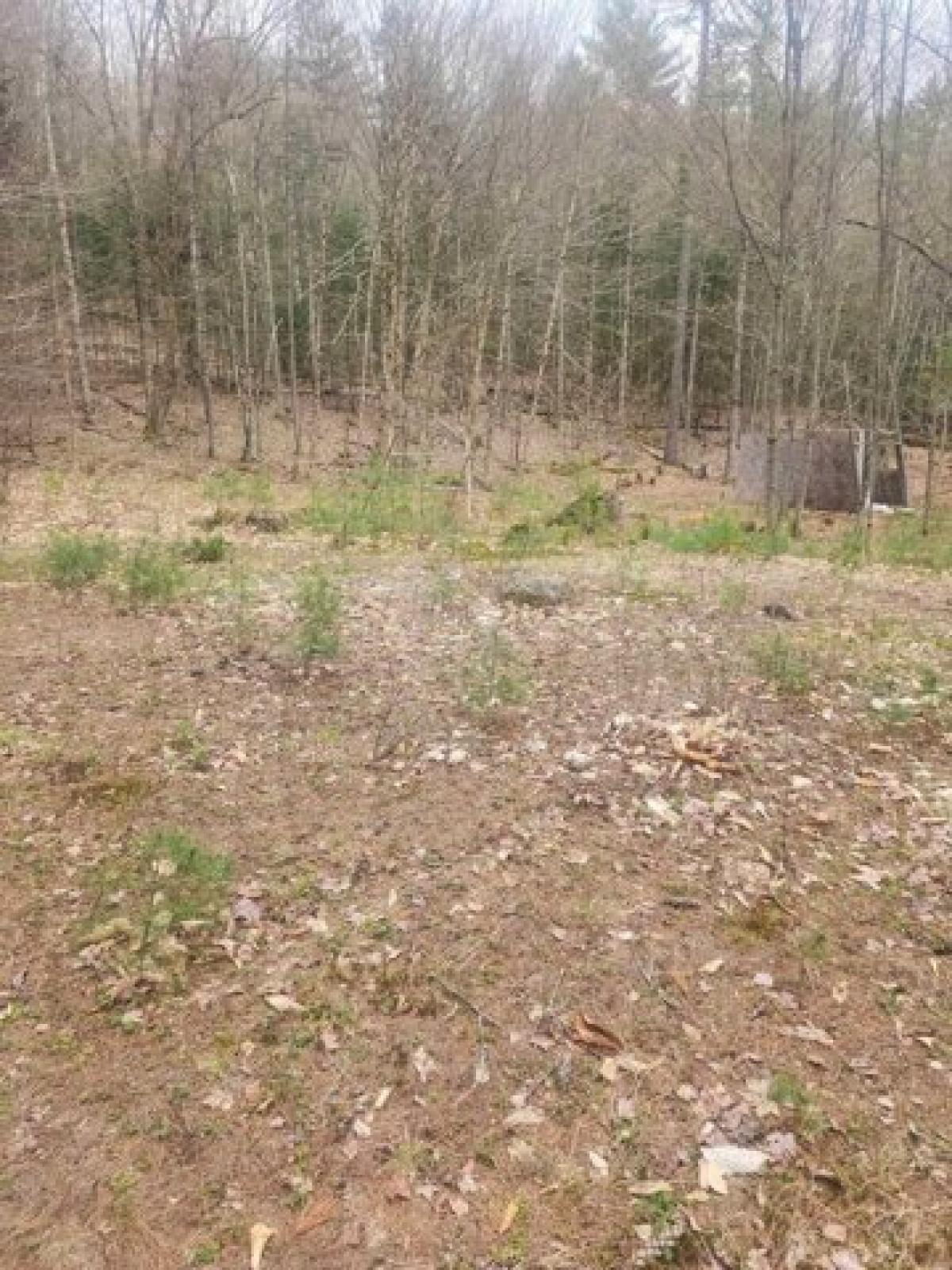 Picture of Residential Land For Sale in Lisbon, New Hampshire, United States