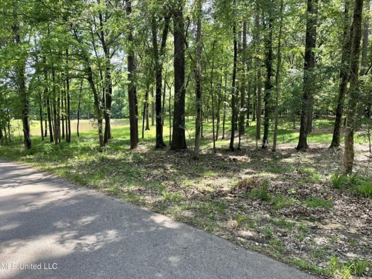 Picture of Residential Land For Sale in Madison, Mississippi, United States