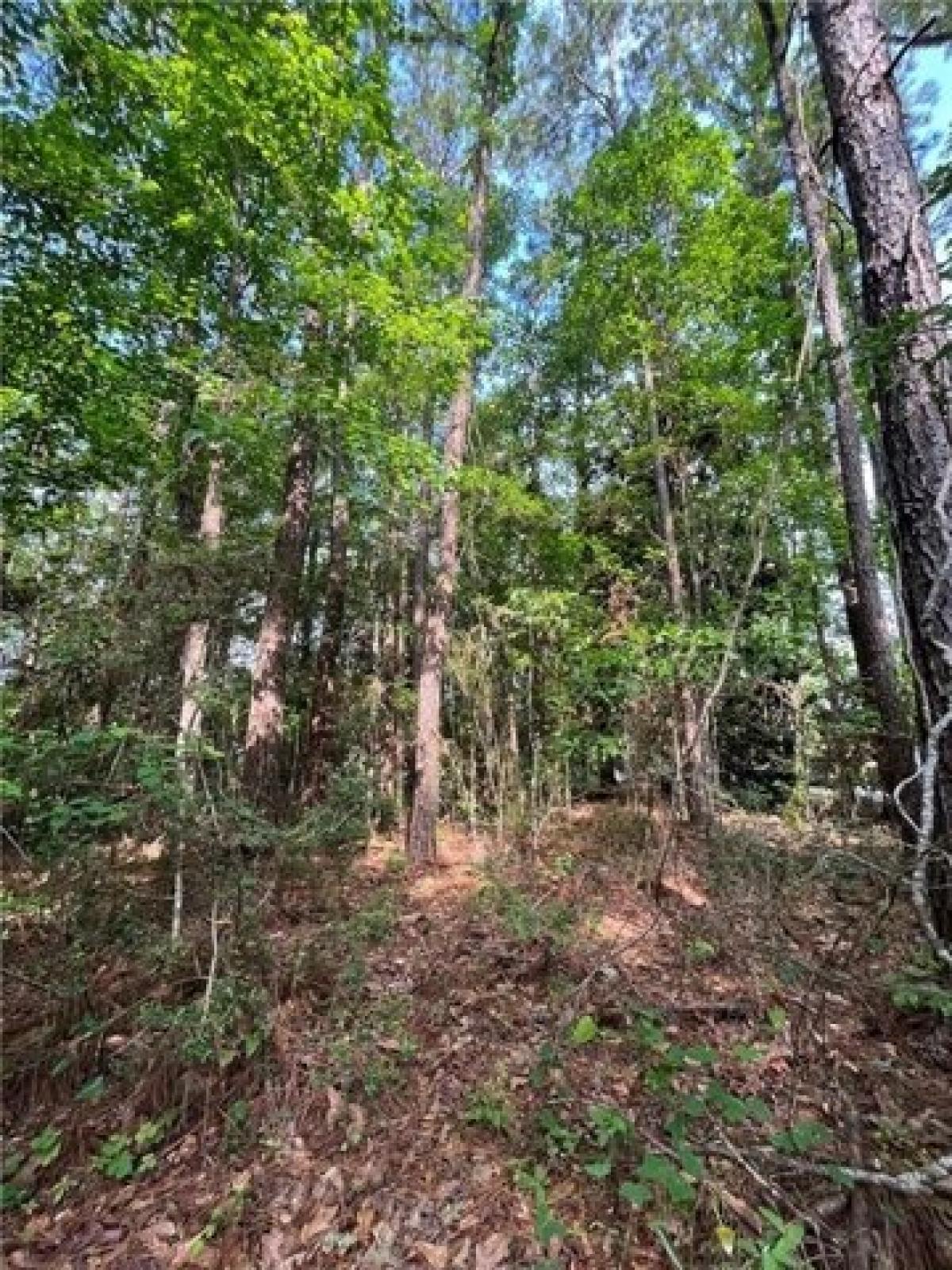 Picture of Residential Land For Sale in Theodore, Alabama, United States