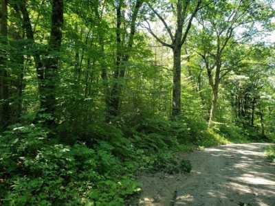 Residential Land For Sale in Sandisfield, Massachusetts