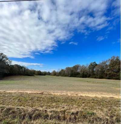 Residential Land For Sale in Myrtle, Mississippi