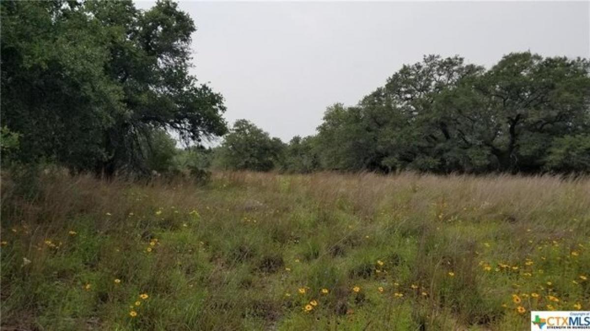 Picture of Residential Land For Sale in Floresville, Texas, United States