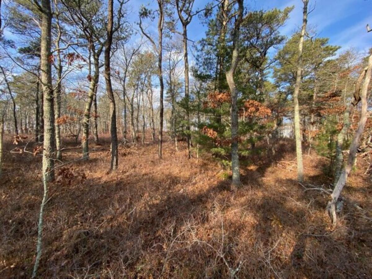 Picture of Residential Land For Sale in Yarmouth Port, Massachusetts, United States