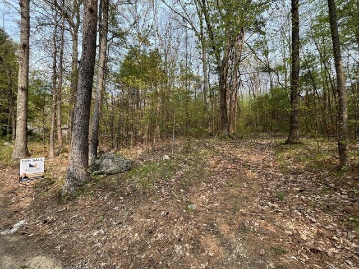 Picture of Residential Land For Sale in Brimfield, Massachusetts, United States