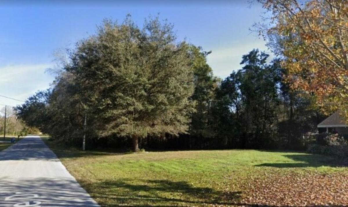 Picture of Residential Land For Sale in Zephyrhills, Florida, United States