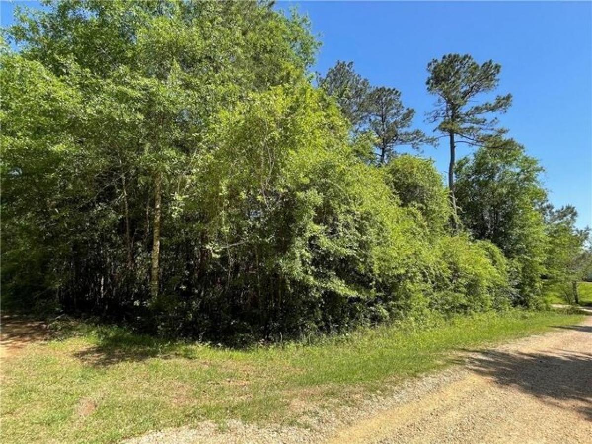 Picture of Residential Land For Sale in Franklinton, Louisiana, United States