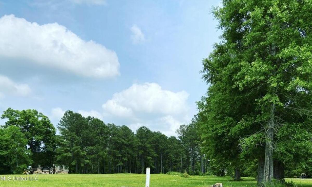 Picture of Residential Land For Sale in Terry, Mississippi, United States