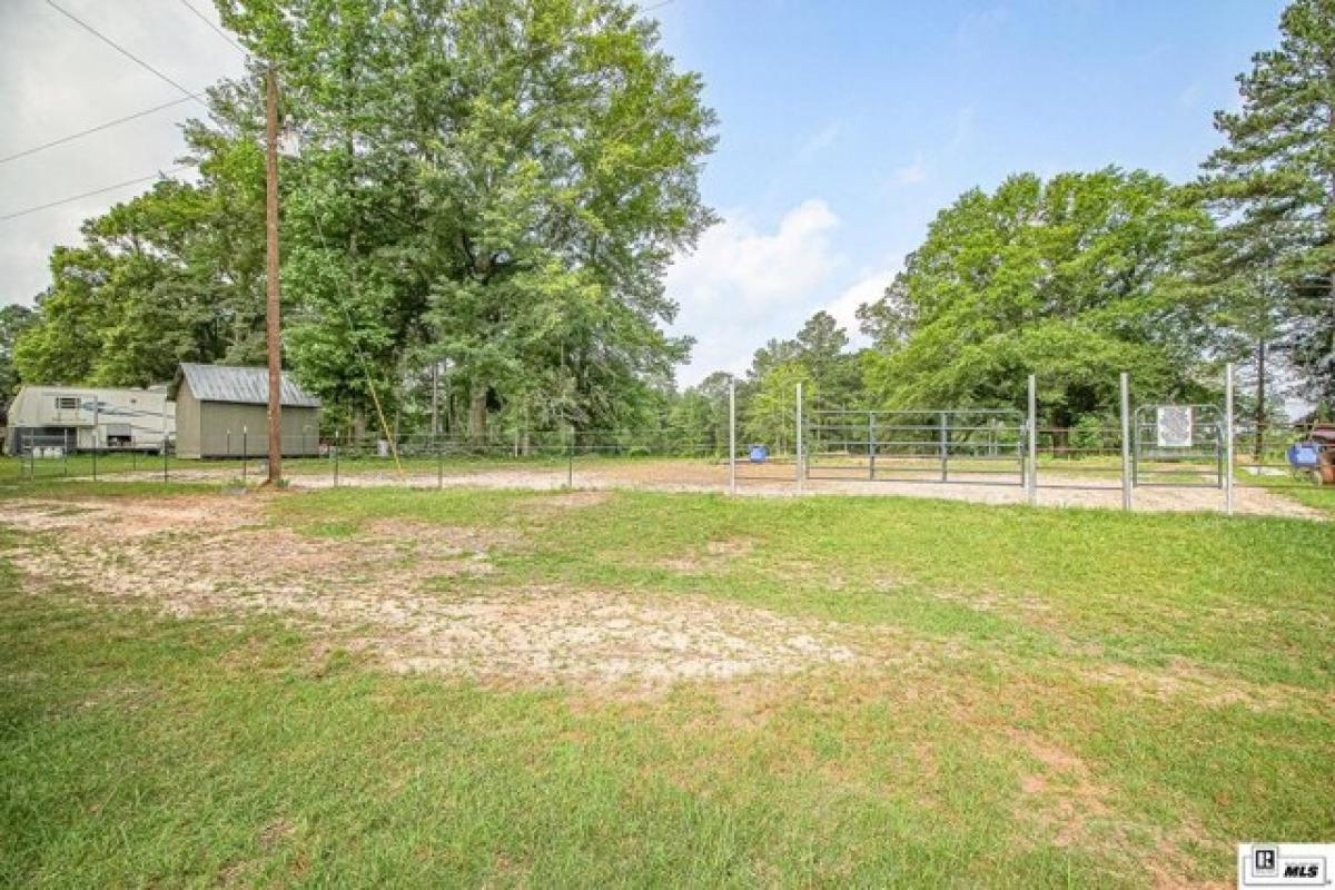 Picture of Residential Land For Sale in Calhoun, Louisiana, United States