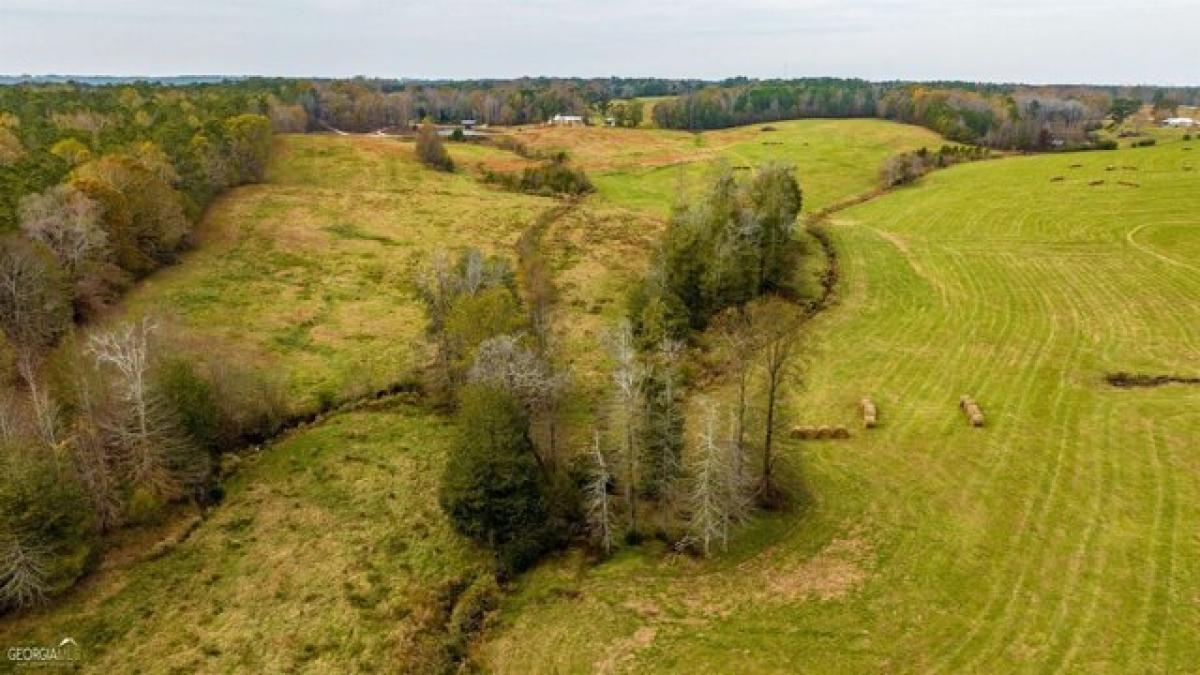 Picture of Residential Land For Sale in Franklin, Georgia, United States