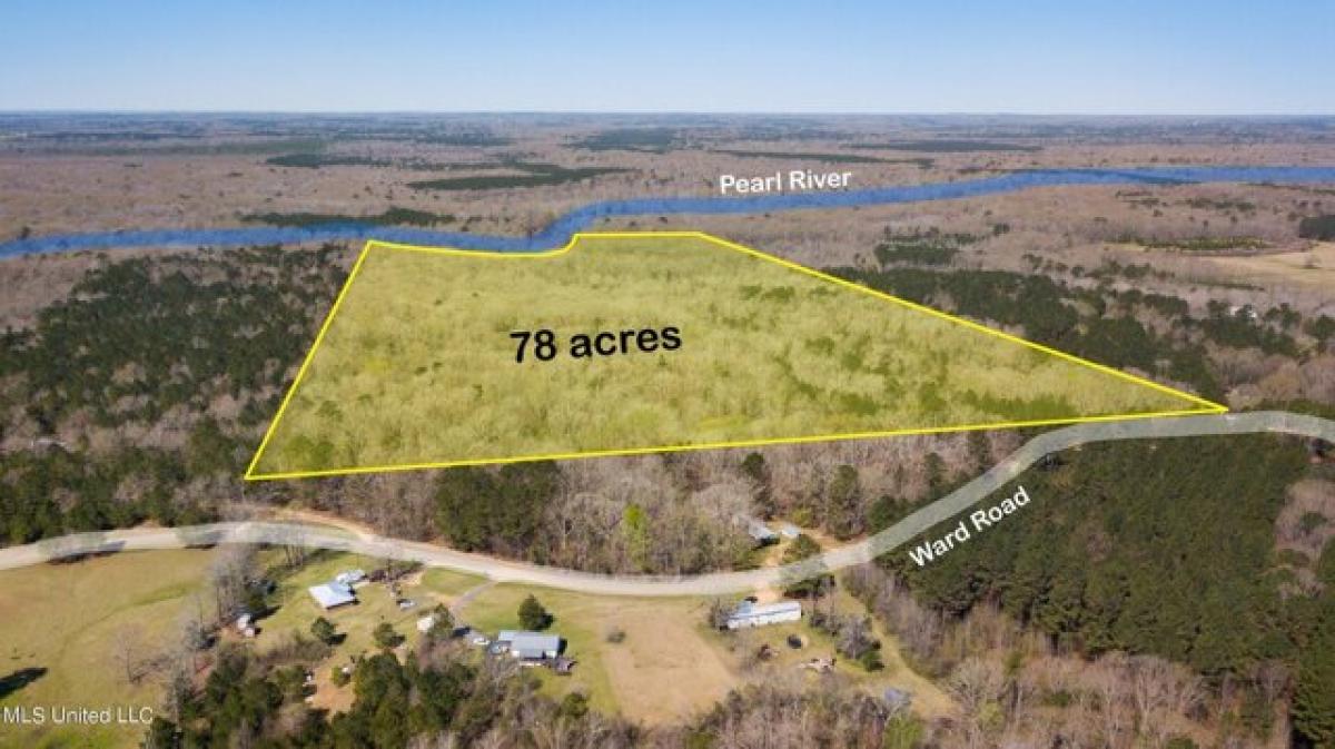 Picture of Residential Land For Sale in Florence, Mississippi, United States