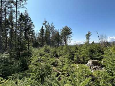 Residential Land For Sale in Southwest Harbor, Maine