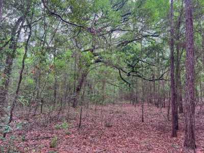 Residential Land For Sale in High Springs, Florida