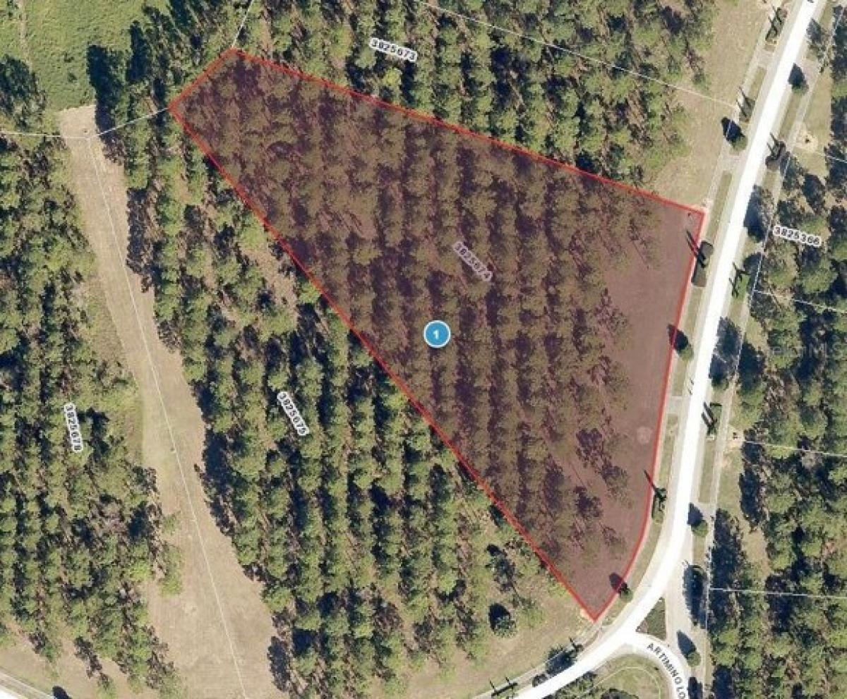 Picture of Residential Land For Sale in Montverde, Florida, United States