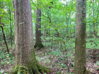 Residential Land For Sale in Flora, Mississippi