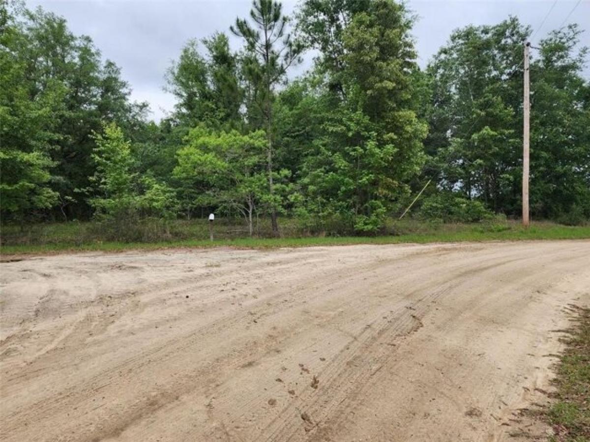 Picture of Residential Land For Sale in Donalsonville, Georgia, United States