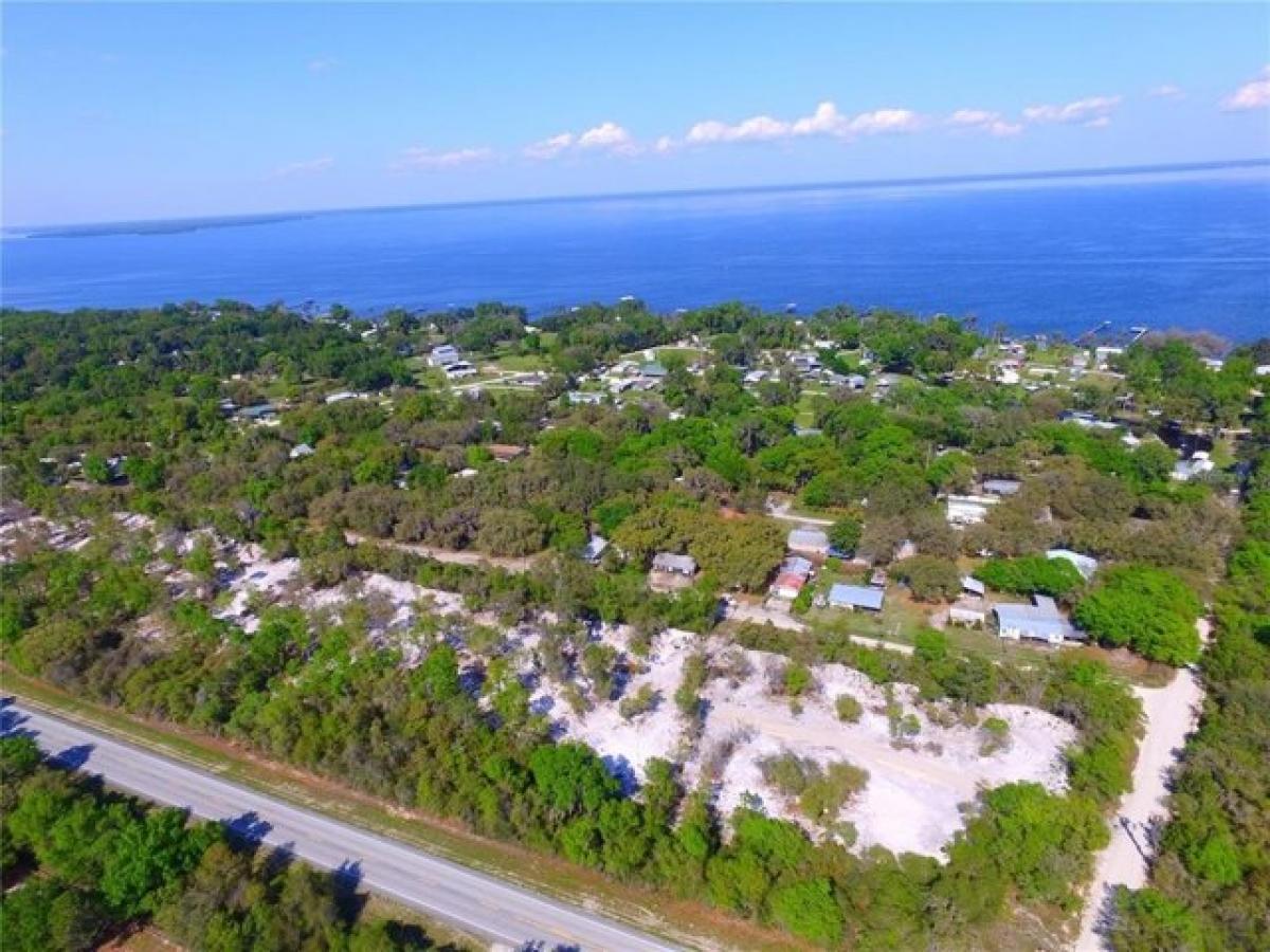 Picture of Residential Land For Sale in Salt Springs, Florida, United States