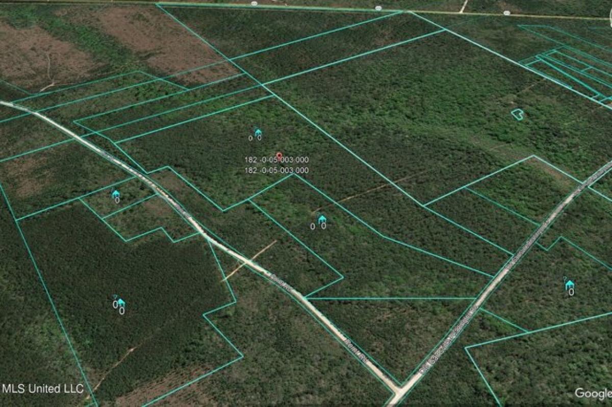 Picture of Residential Land For Sale in Pearlington, Mississippi, United States