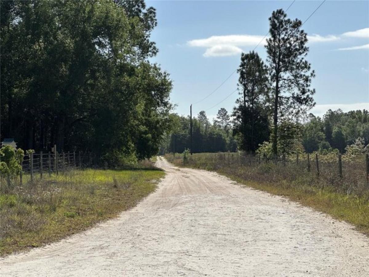 Picture of Residential Land For Sale in Newberry, Florida, United States