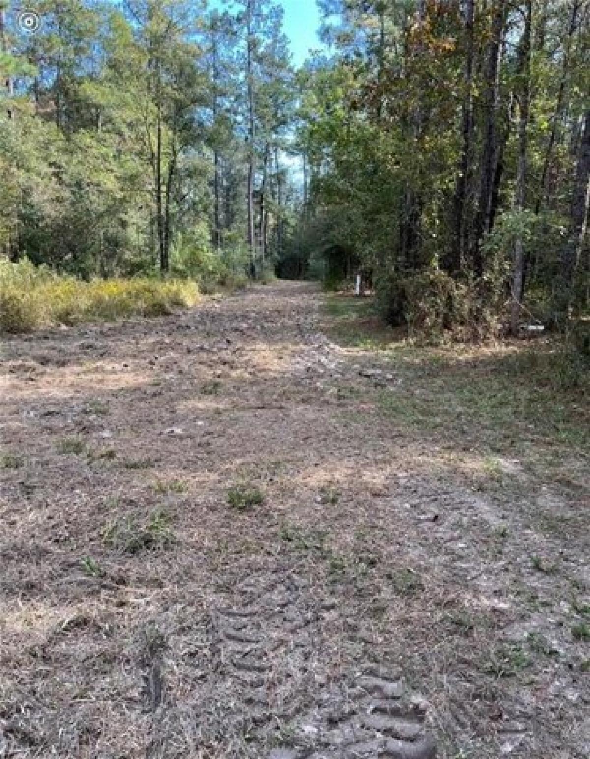 Picture of Residential Land For Sale in Covington, Louisiana, United States