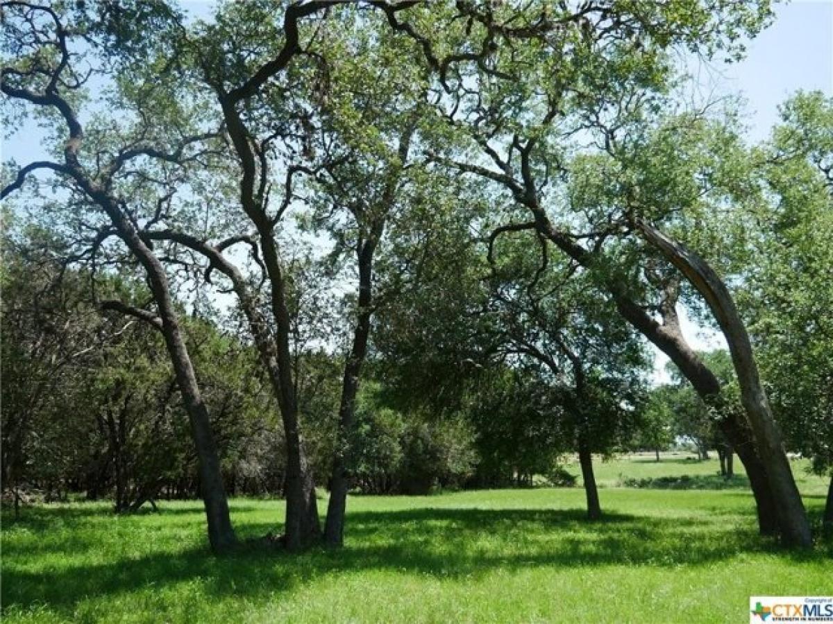 Picture of Residential Land For Sale in San Marcos, Texas, United States