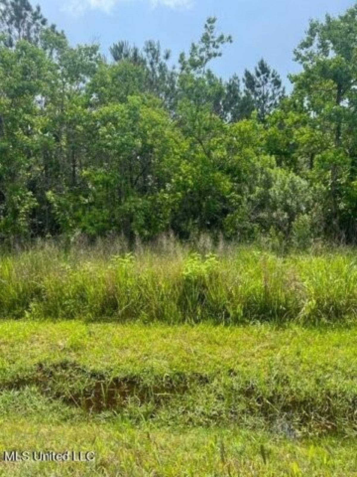 Picture of Residential Land For Sale in Bay Saint Louis, Mississippi, United States