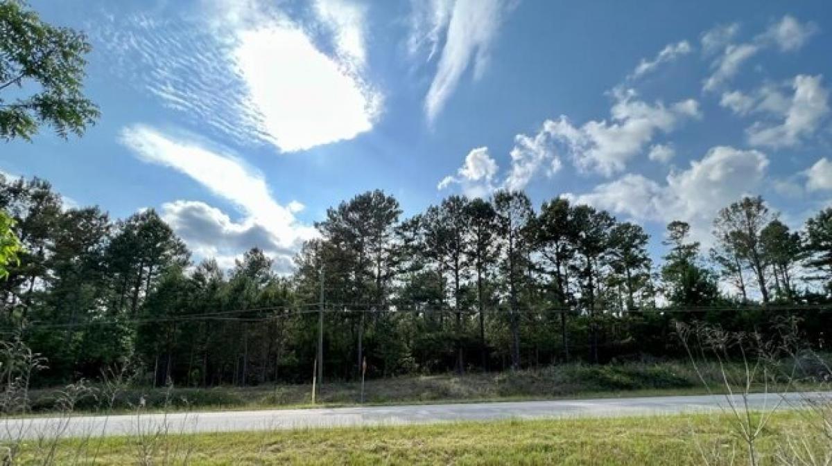 Picture of Residential Land For Sale in Ashford, Alabama, United States