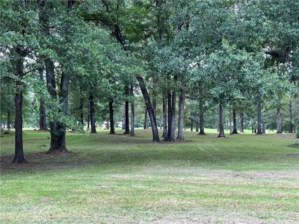 Picture of Residential Land For Sale in Pineville, Louisiana, United States