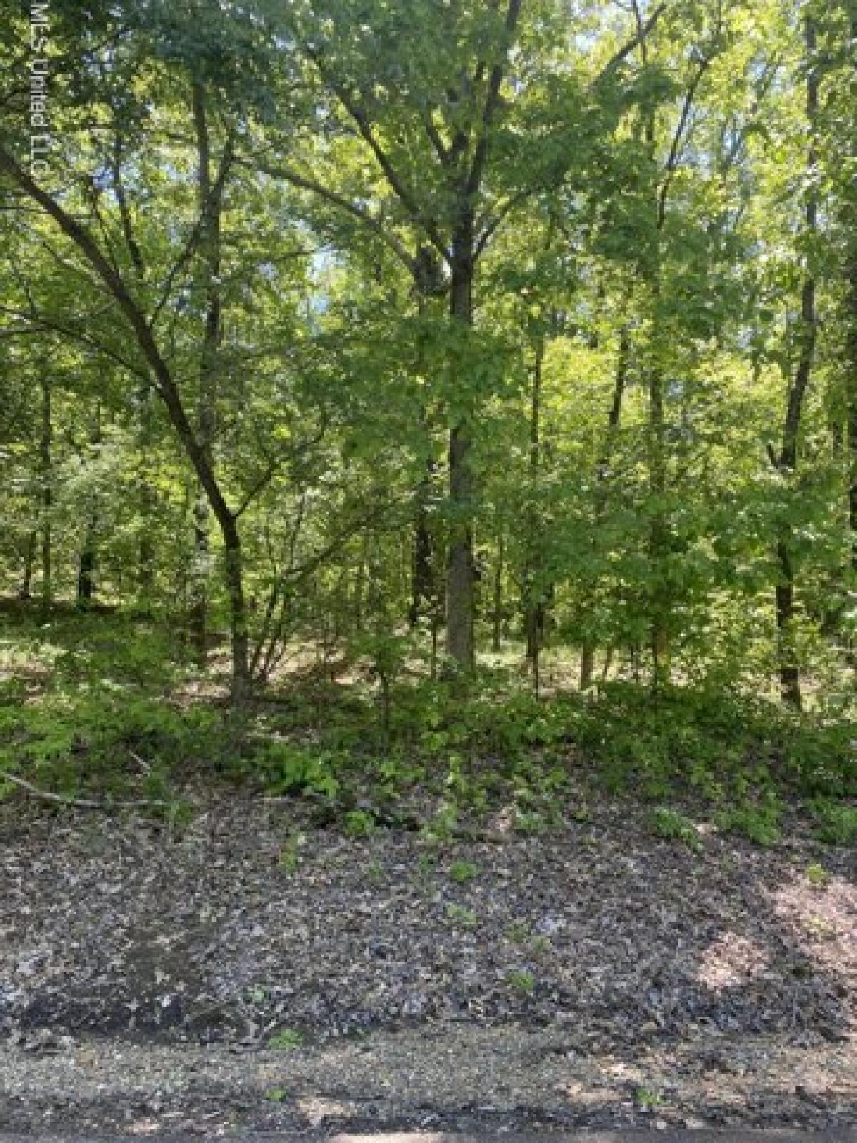 Picture of Residential Land For Sale in Coldwater, Mississippi, United States