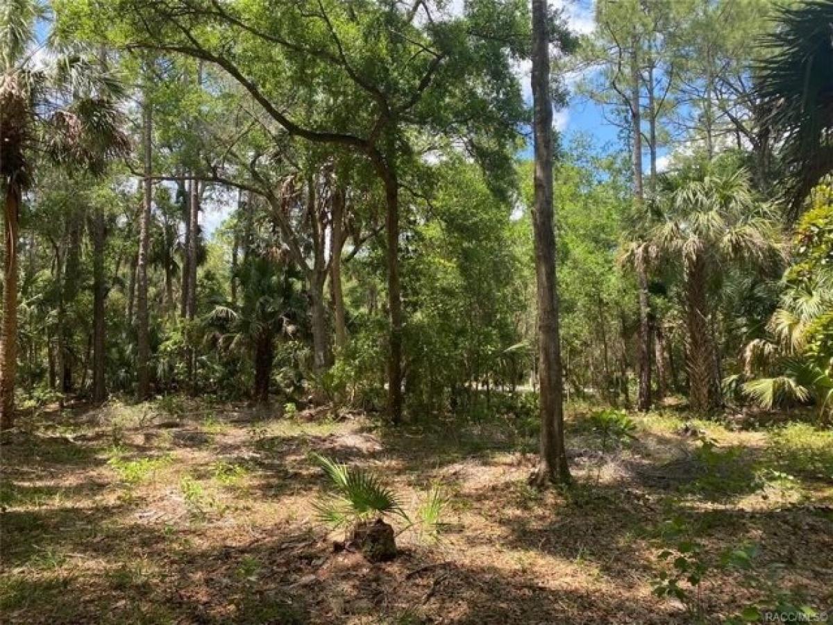 Picture of Residential Land For Sale in Yankeetown, Florida, United States