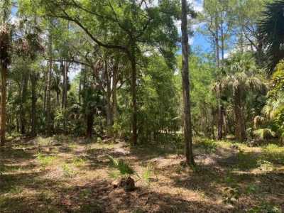 Residential Land For Sale in Yankeetown, Florida